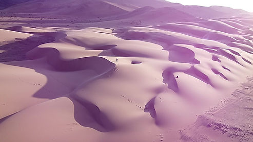 Solos en el Desierto